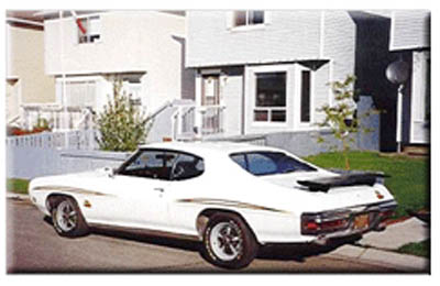 gto_weiß_2